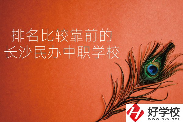 長(zhǎng)沙哪些民辦中職學(xué)校排名比較靠前？