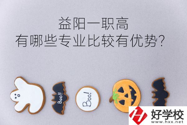益陽一職高有哪些專業(yè)比較有優(yōu)勢？