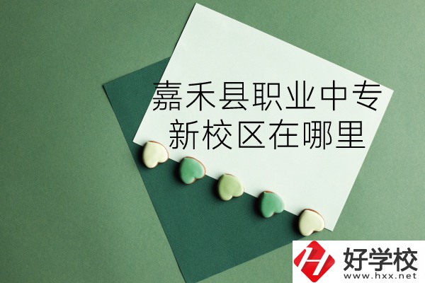 嘉禾縣職業(yè)中專怎么樣？新校區(qū)在哪里？