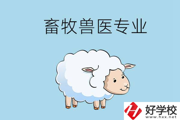 畜牧獸醫(yī)專業(yè)好就業(yè)嗎？湖南哪些技校開設了該專業(yè)？