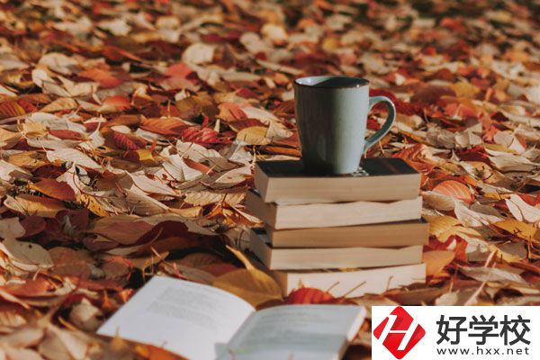 中方縣職業(yè)中等專業(yè)學(xué)校有什么專業(yè)？好不好？