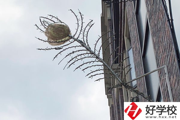 湖南省邵陽交通學(xué)校怎么樣？有哪些熱門專業(yè)？