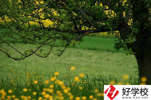 在邵陽讀中職有前途嗎？如何選擇學校呢？
