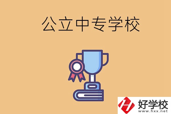 常德的公立中專學校有哪些？有什么特色？