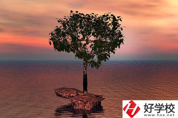 湖南省中南藝術(shù)學(xué)校收費標(biāo)準(zhǔn)怎么樣？
