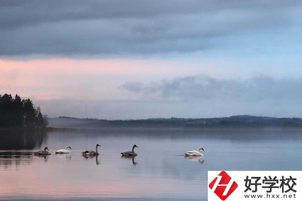 湖南有色金屬中專學(xué)校有哪些專業(yè)？就業(yè)方向如何？