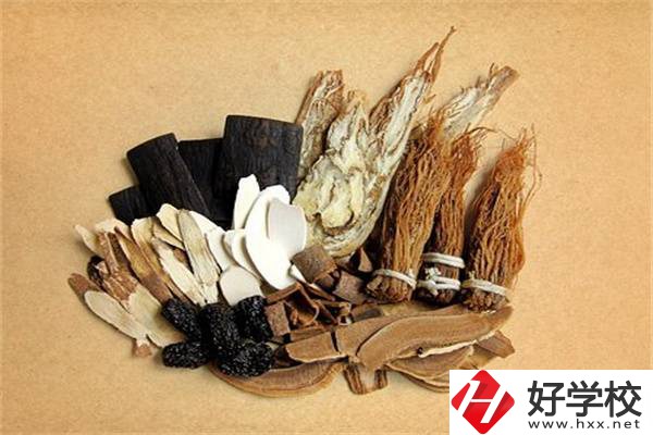 在湘西學(xué)中草藥栽培怎么樣？開設(shè)此專業(yè)的學(xué)校有哪些？