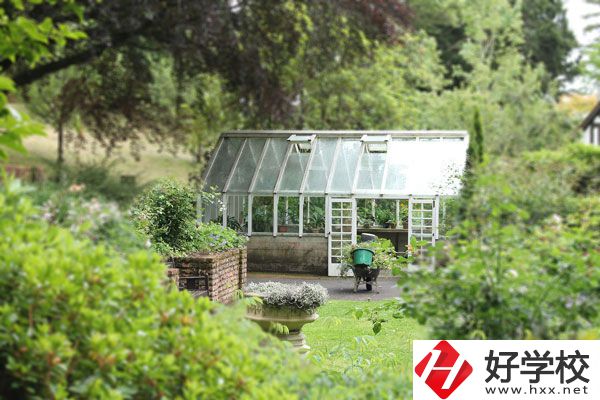 湖南省商業(yè)技師學(xué)院開設(shè)哪些專業(yè)？就業(yè)情況如何？