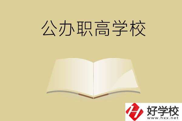 懷化公辦的職高學校有哪些？