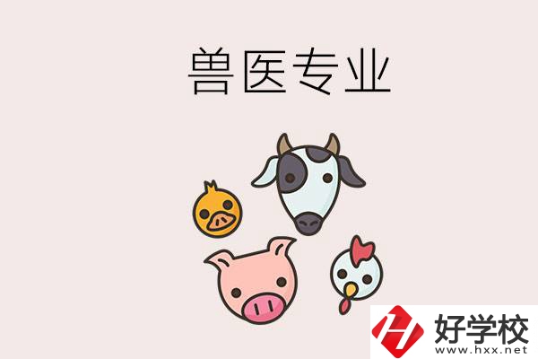 湖南哪些職校能學(xué)獸醫(yī)專業(yè)？學(xué)獸醫(yī)前景怎么樣？