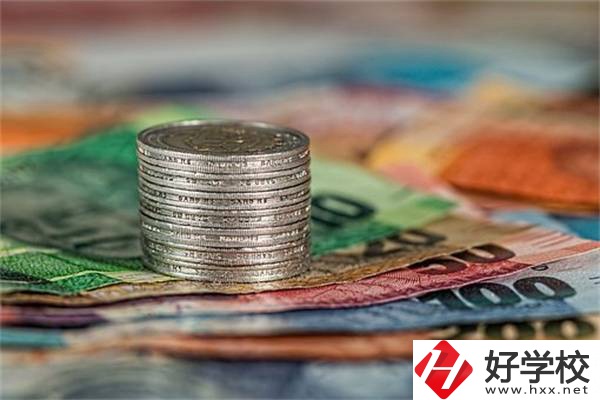 湖南職校會計電算化專業(yè)怎么樣？就業(yè)前景好不好？