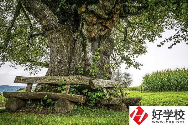 湖南特教中等專業(yè)學(xué)校有專業(yè)、資助政策。