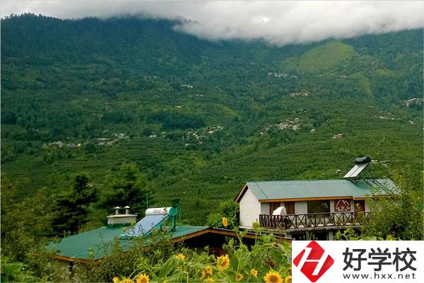 益陽大誠職業(yè)學校的專業(yè)怎么樣？就業(yè)方向如何？