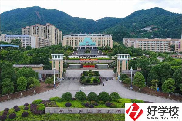 郴州有幾所職校設有中職部？中職生有哪些升學途徑？