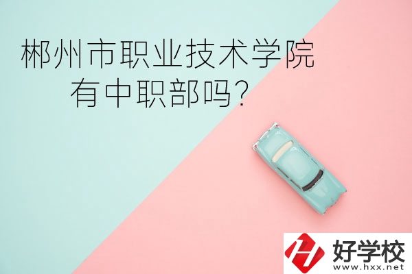 郴州市職業(yè)技術學院有中職部嗎？