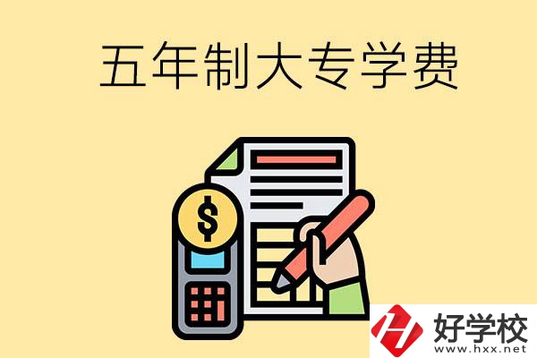 在長沙讀五年制大專一年學(xué)費(fèi)是多少？有補(bǔ)貼嗎？