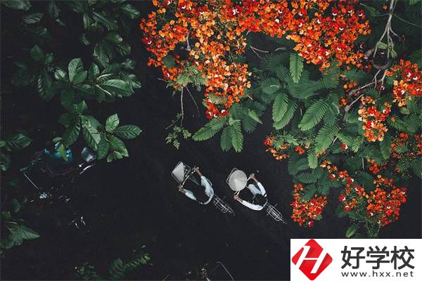湖南分?jǐn)?shù)低選私立高中還是選職校？選職校還能統(tǒng)考嗎？