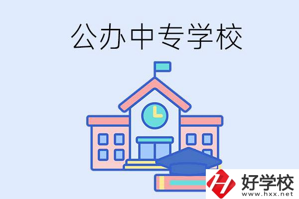 湘西一共有多少所公辦的中專(zhuān)學(xué)校？