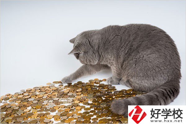 邵陽的職高一年學(xué)費(fèi)是多少？比較便宜的學(xué)校有哪些？