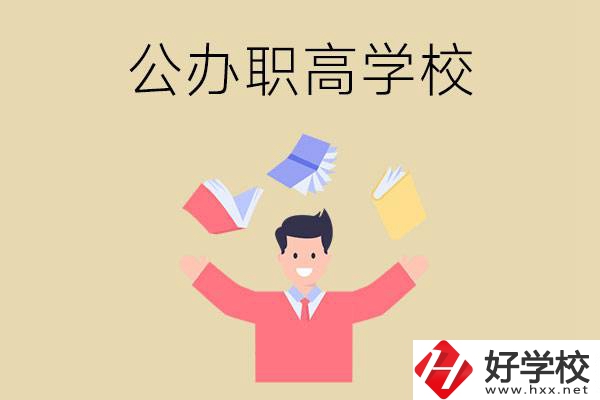 婁底公辦的職高學(xué)校有幾所？