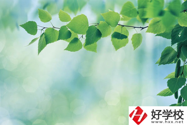 永州工商職業(yè)中等專業(yè)學(xué)校哪些是特色專業(yè)？好就業(yè)嗎？