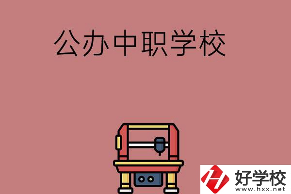長(zhǎng)沙可以學(xué)計(jì)算機(jī)應(yīng)用專業(yè)的公辦中職學(xué)校有哪些？