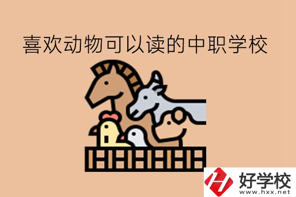 喜歡動(dòng)物的學(xué)生，可以讀這些中職學(xué)校!