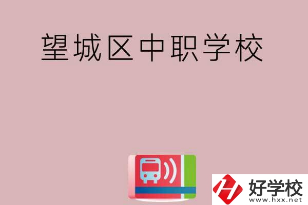 長沙望城區(qū)有哪些中職學(xué)校？
