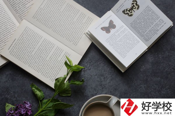 湘南船山技工學(xué)校好不好？環(huán)境怎么樣？