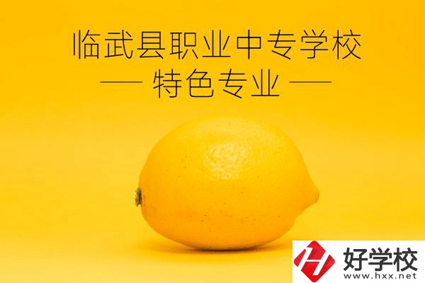 臨武縣職業(yè)中專學(xué)校好嗎？有哪些特色專業(yè)？