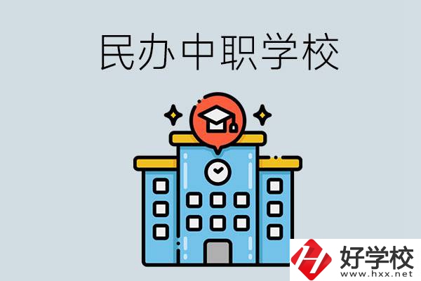 婁底新化縣的民辦中職學(xué)校一共有多少所？