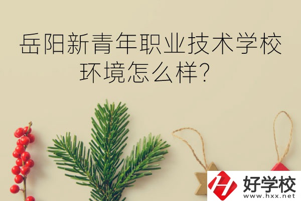 岳陽新青年職業(yè)技術(shù)學(xué)校好不好？環(huán)境怎么樣？