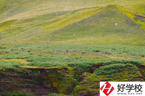 湖南衡南職業(yè)中等專業(yè)學(xué)校好嗎？學(xué)校有什么優(yōu)勢？