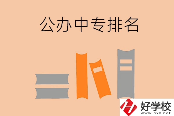 湘潭公辦中專排名前五的是哪些？