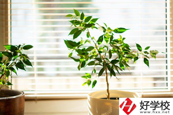 湖南省商業(yè)技師學(xué)院有哪些教學(xué)特色？報(bào)考有何要求？