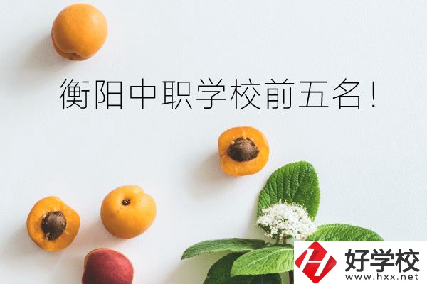 衡陽(yáng)中職學(xué)校前五名！你選對(duì)了嗎？
