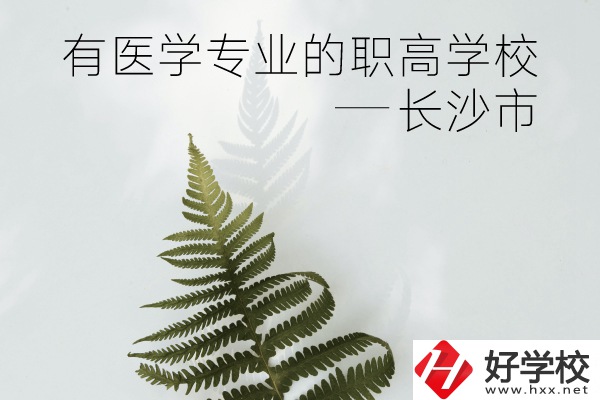 長沙市哪些職高學(xué)校有醫(yī)學(xué)專業(yè)？