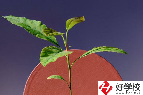 株洲市工業(yè)中等專校怎么樣？好不好？