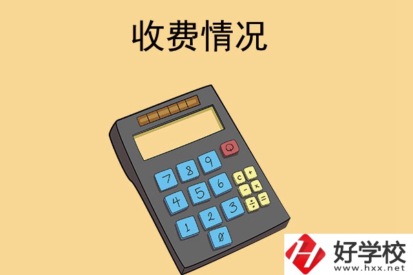 長(zhǎng)沙的中專學(xué)校收費(fèi)情況怎么樣？