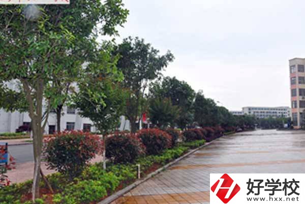 長(zhǎng)沙市電子工業(yè)學(xué)校開設(shè)了哪些專業(yè)，附招生要求？