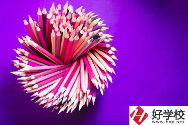在懷化有什么職?？梢詫W(xué)習(xí)幼師？好不好？