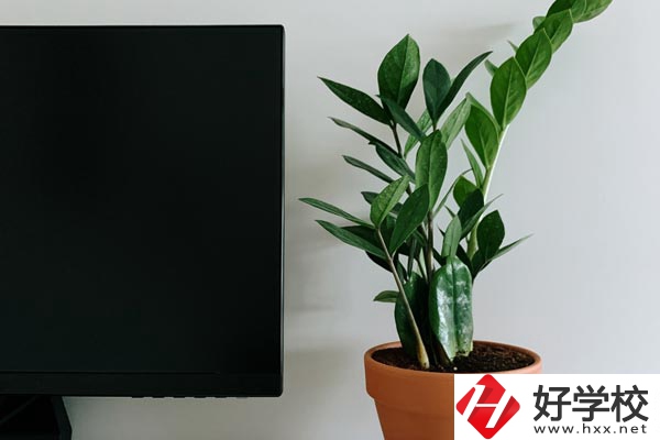 岳陽市網(wǎng)絡(luò)工程職業(yè)技術(shù)學(xué)校有哪些熱門專業(yè)？