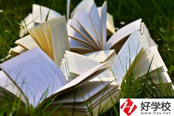 中方縣職業(yè)中等專業(yè)學(xué)校有什么專業(yè)？好不好？