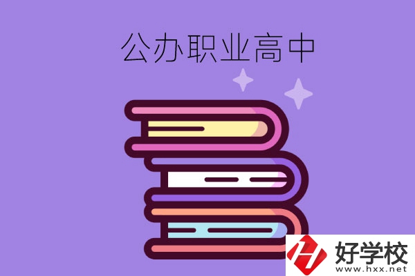 長沙市有哪些公辦職業(yè)高中學(xué)校？
