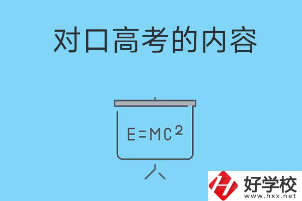 湖南職高對(duì)口高考主要考什么內(nèi)容？難度大不大？