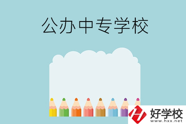 湖南地區(qū)有哪些公辦的中專學?？梢酝扑]呢？