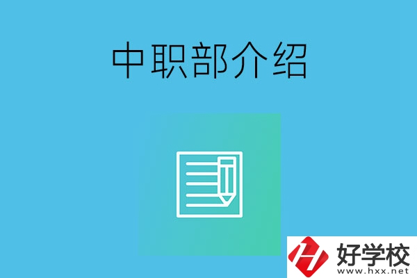 湘潭院校中職部介紹，這幾所學(xué)校你知道嗎？