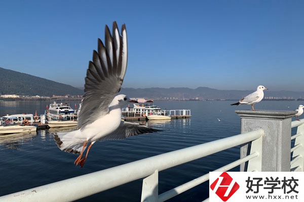 準(zhǔn)備讀中專，衡陽縣職業(yè)中專好不好？