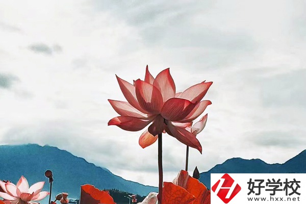 隆回華星職業(yè)技術(shù)學(xué)校有哪些專業(yè)？值得學(xué)生報(bào)考么？