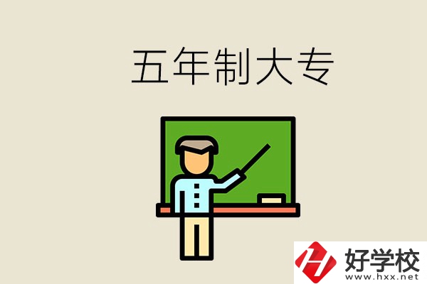 岳陽(yáng)有哪些五年制大專？畢業(yè)了怎么發(fā)展？